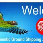 All Parrot Products