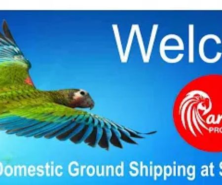 All Parrot Products