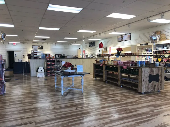 Doodle Doo Bakery Picture 4