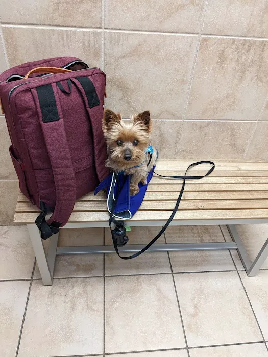 New Canaan Veterinary Hospital Picture 6