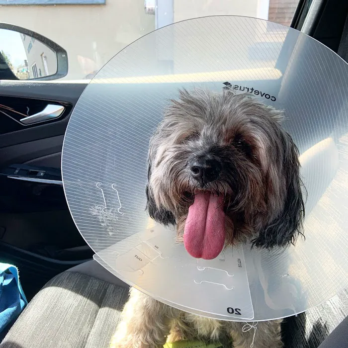 New Canaan Veterinary Hospital Picture 3