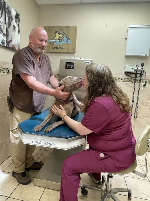 New Canaan Veterinary Hospital Picture 8