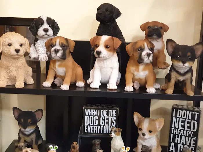 Hello Cats & Dogs Picture 4