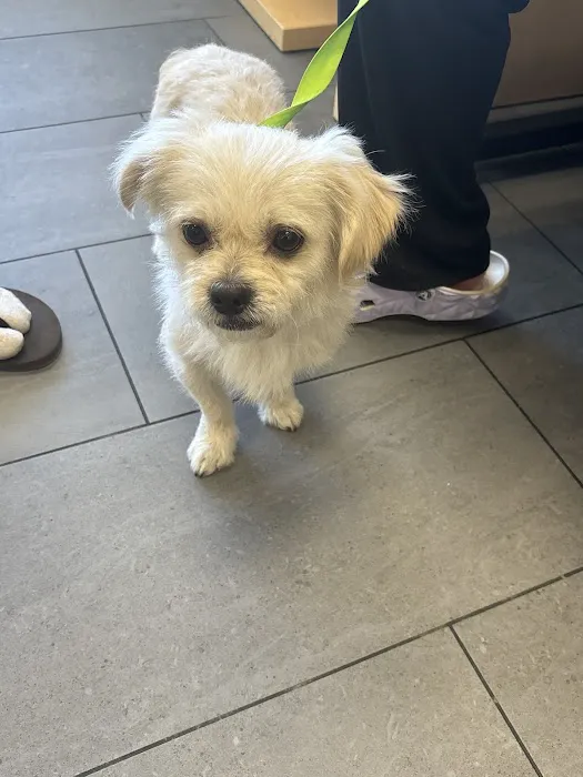 Banfield Pet Hospital Picture 1