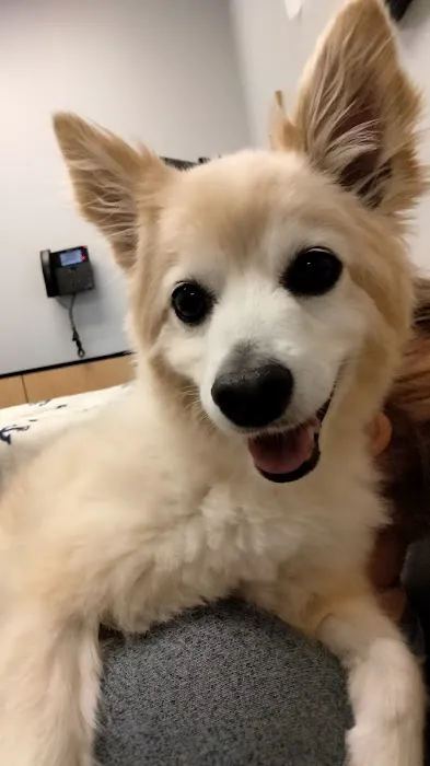 Banfield Pet Hospital Picture 7