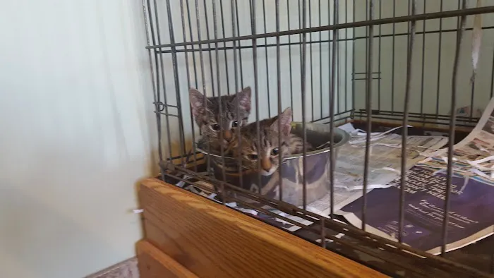 Suffern Animal Hospital Picture 2
