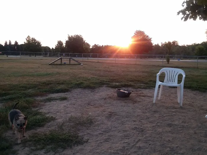 Fairview Pet Center Picture 6