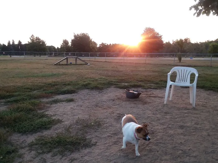 Fairview Pet Center Picture 7