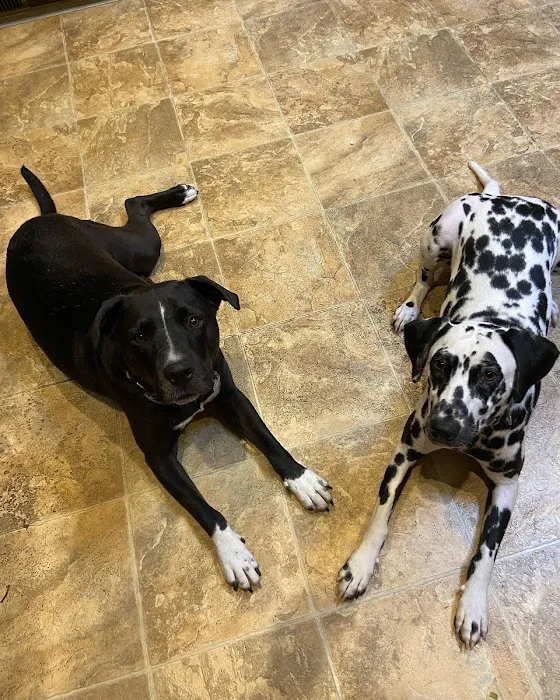 Valley Cottage Animal Hospital Picture 8