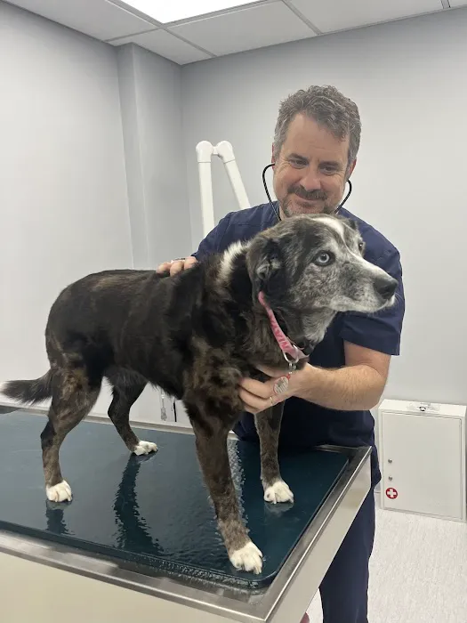 Nyack Neighborhood Veterinary Picture 8