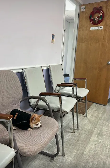 Cat Care Clinic of the Nyacks Picture 1