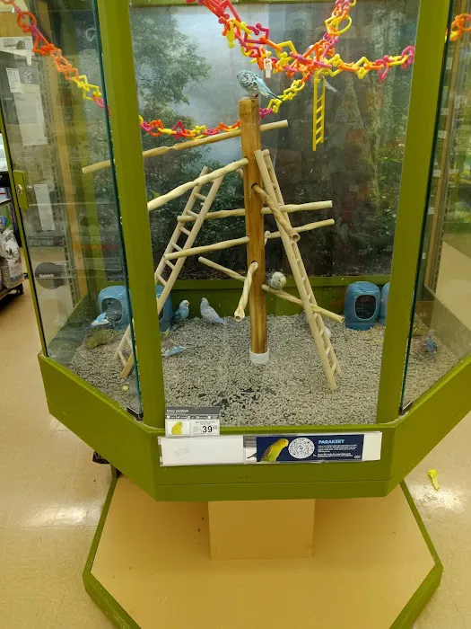 Petco Picture 2