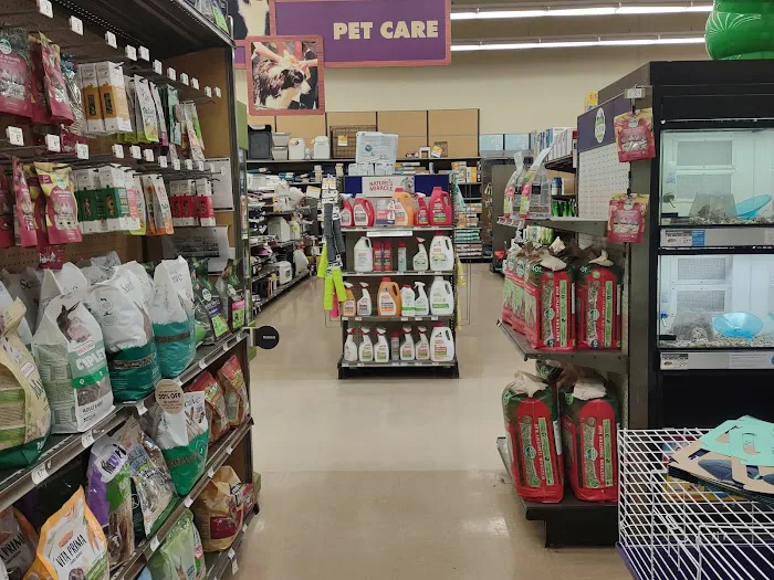 Petco Picture 3