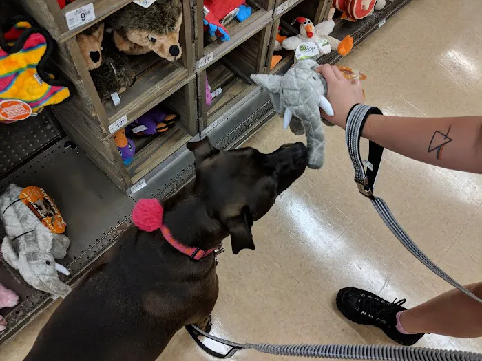Petco Picture 8
