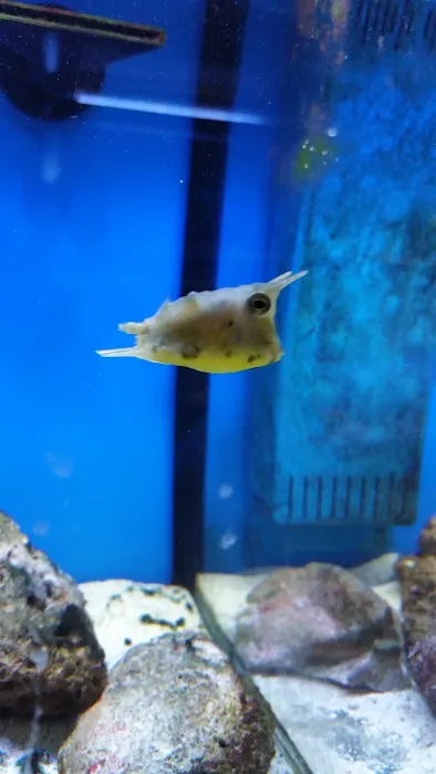 Something Fishy Picture 8