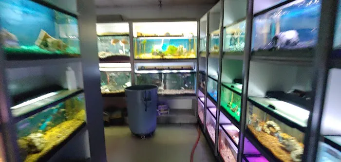 Something Fishy Picture 7