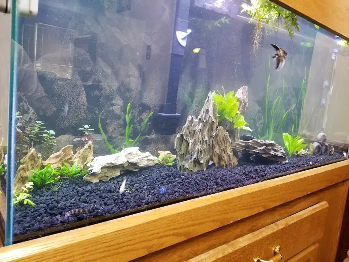Something Fishy Picture 1