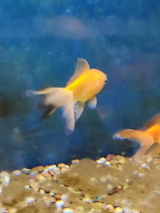 Something Fishy Picture 5