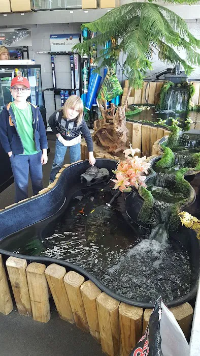 Something Fishy Picture 6