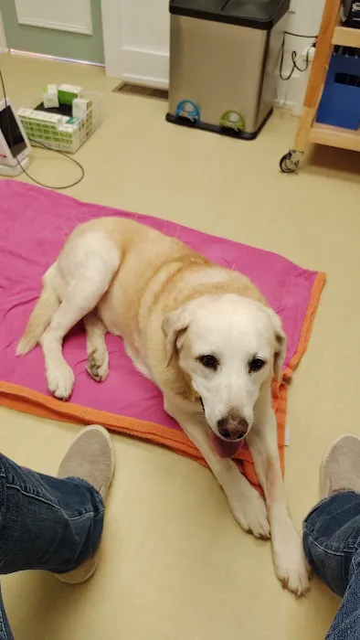 Pets Aloud Veterinary Services Picture 5