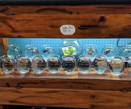 Feed Rite Pet Shop & Supply