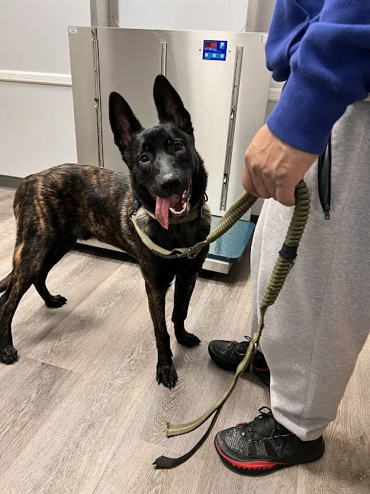 Franklin Lakes Animal Hospital Picture 1