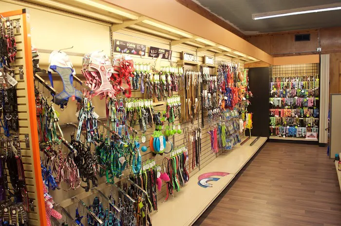 Joey's Pet Outfitters Picture 7