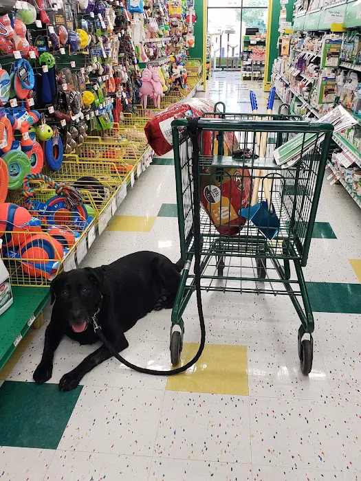 Pet Supplies Plus Okemos Picture 1