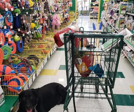 Pet Supplies Plus Okemos