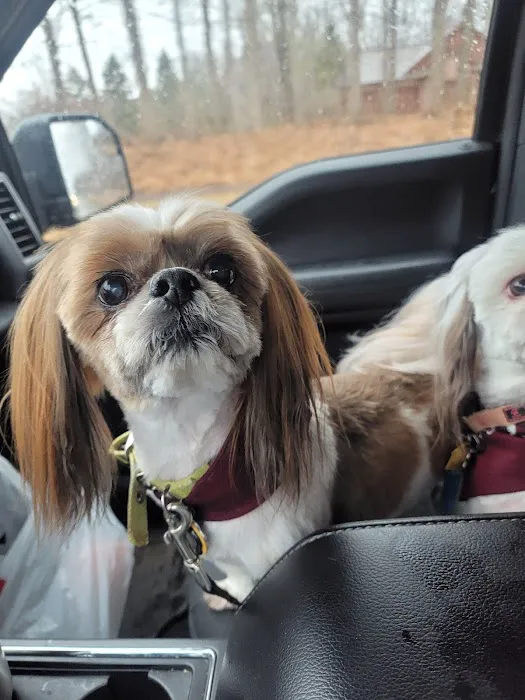 Pet Supplies Plus Okemos Picture 7