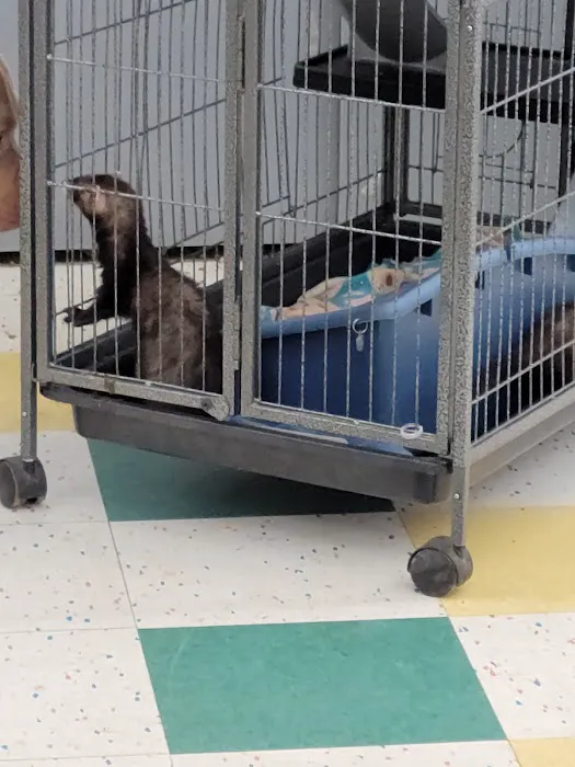 Pet Supplies Plus Okemos Picture 8
