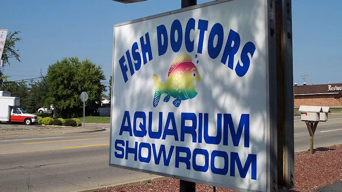 The Fish Doctors Picture 1