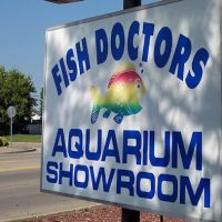 The Fish Doctors ico