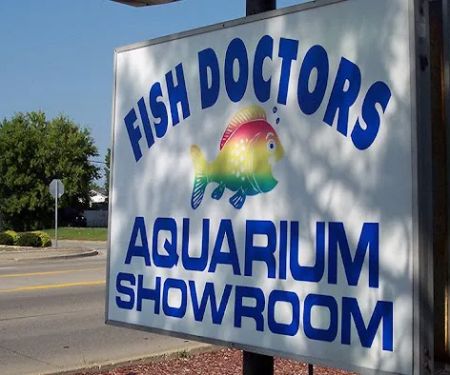 The Fish Doctors