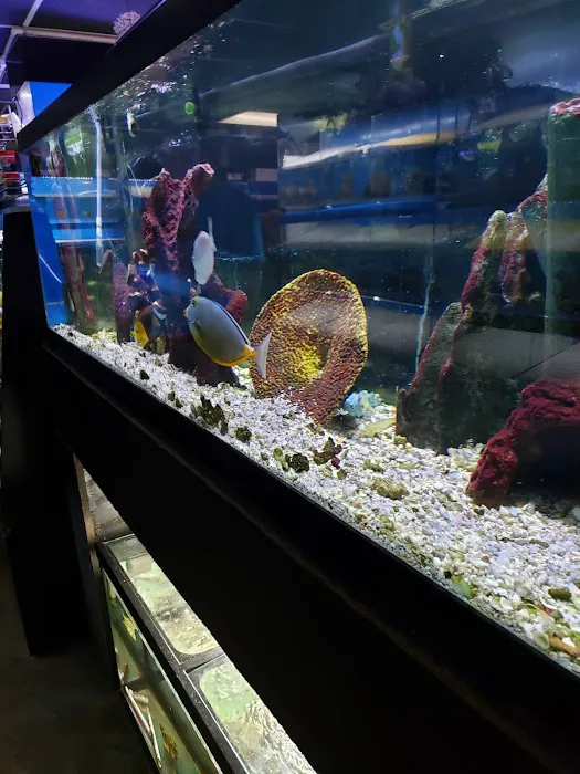 The Fish Doctors Picture 10