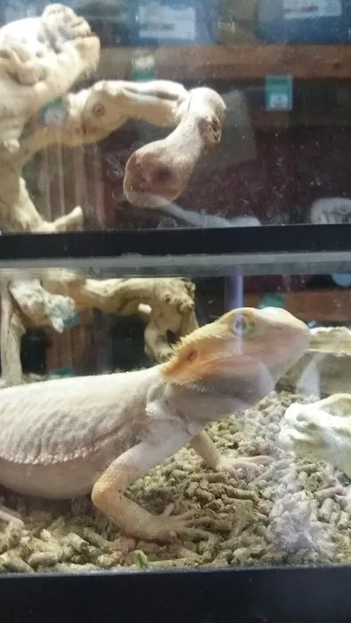 Pets 'n' Things Picture 4