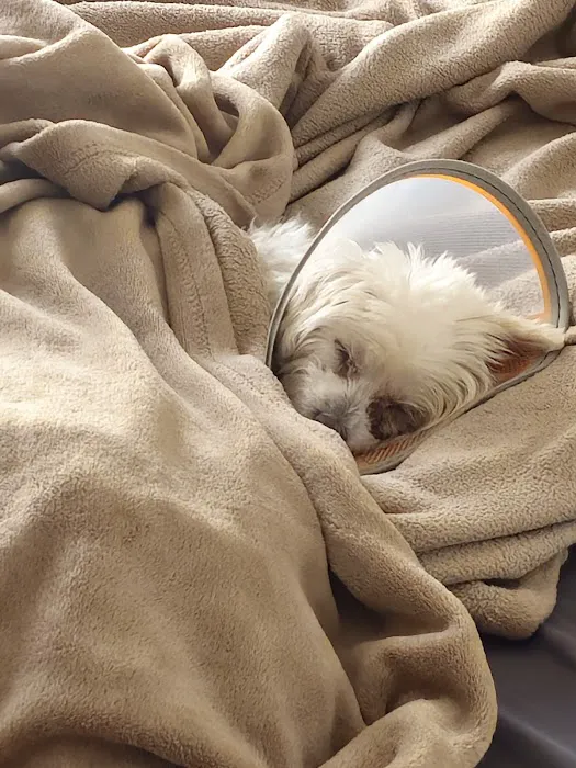 Animal Eye Center of New Jersey Picture 3