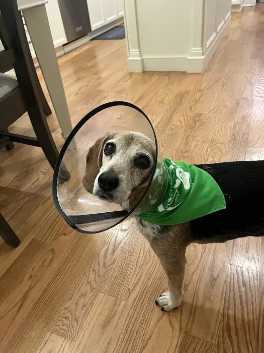 Animal Eye Center of New Jersey Picture 5