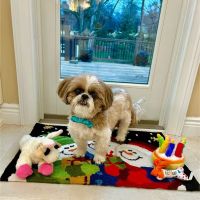 Animal Eye Center of New Jersey ico