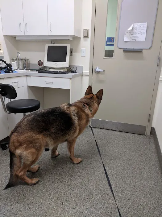 Animal Eye Center of New Jersey Picture 7