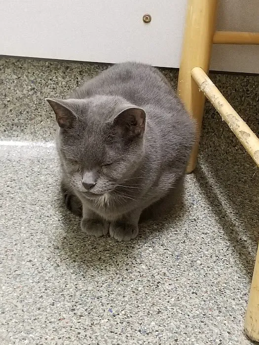 Animal Eye Center of New Jersey Picture 8