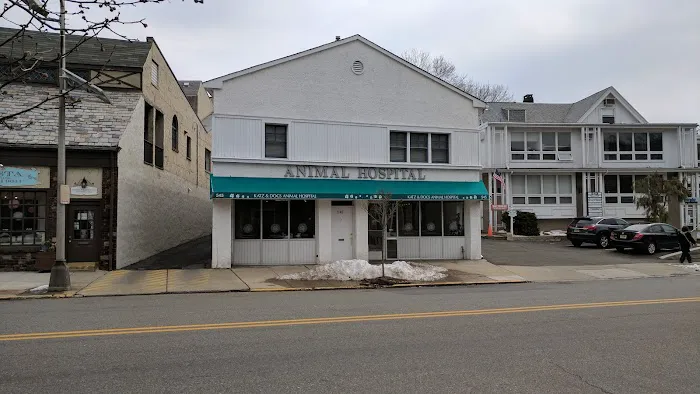 Katz & Dogs Animal Hospital Picture 1
