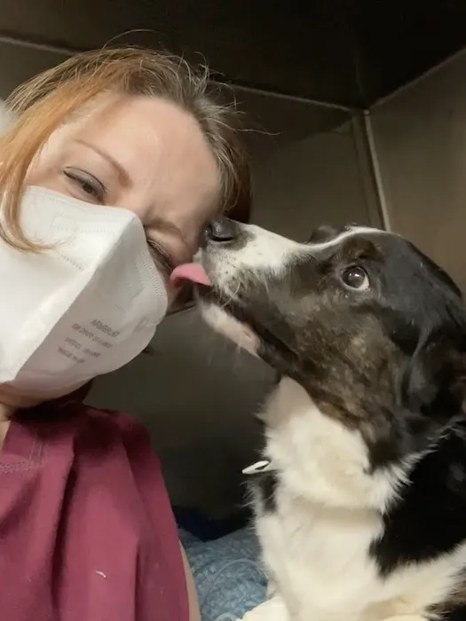 Katz & Dogs Animal Hospital Picture 4
