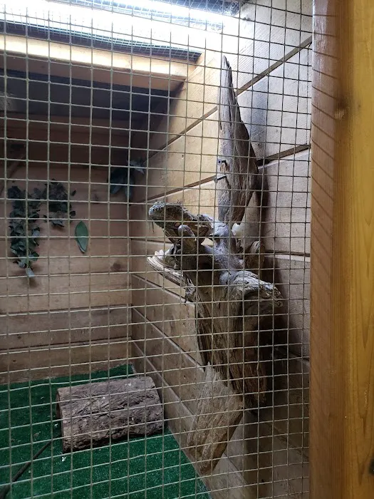 Critter Pet Shop Picture 4