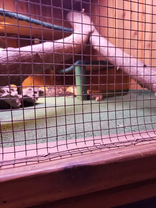Critter Pet Shop Picture 6