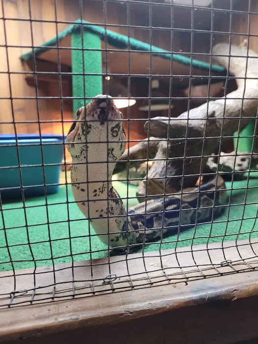 Critter Pet Shop Picture 1