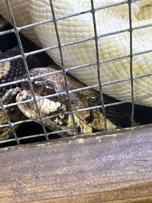 Critter Pet Shop Picture 8