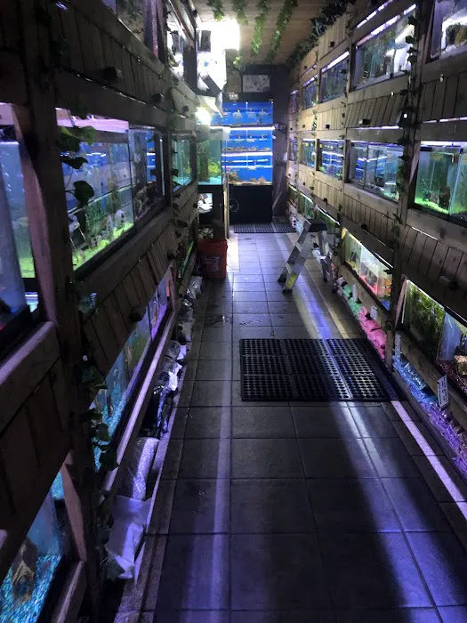 Critter Pet Shop Picture 10