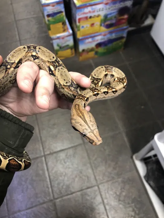 Critter Pet Shop Picture 9