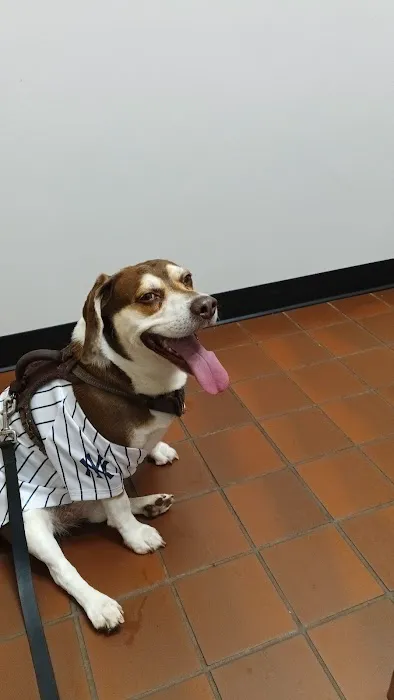 North Jersey Animal Hospital Picture 1